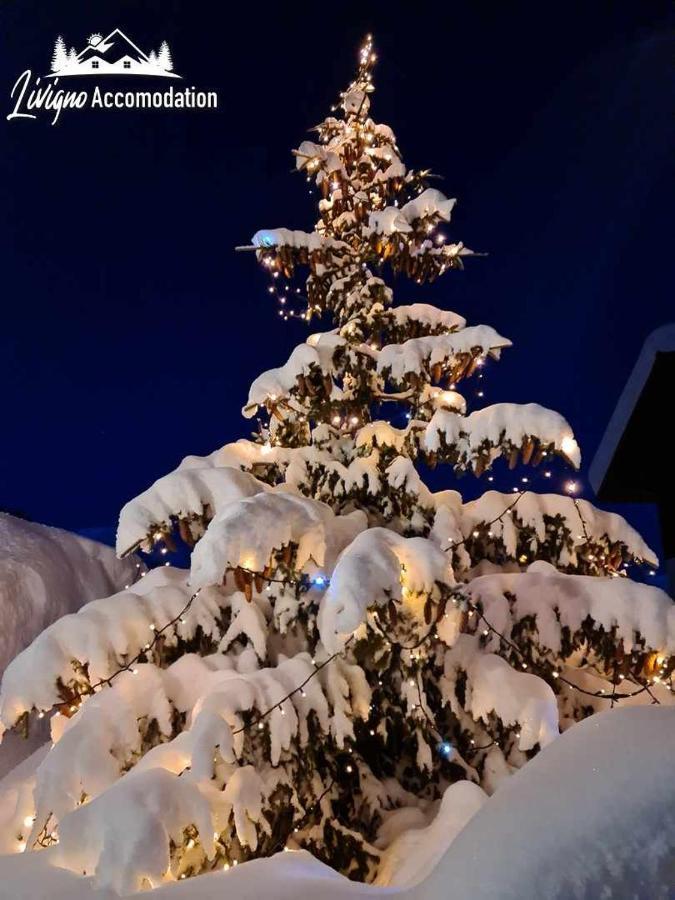 Alpen Royal By Livigno Accomodation 外观 照片